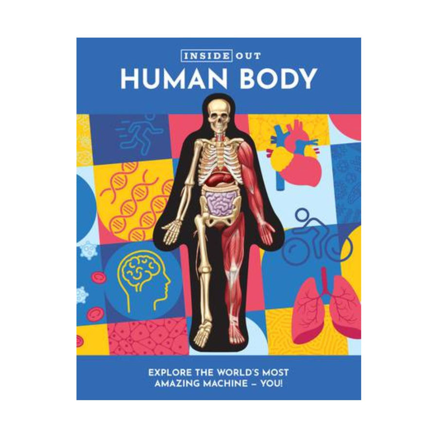 Inside Out Human Body