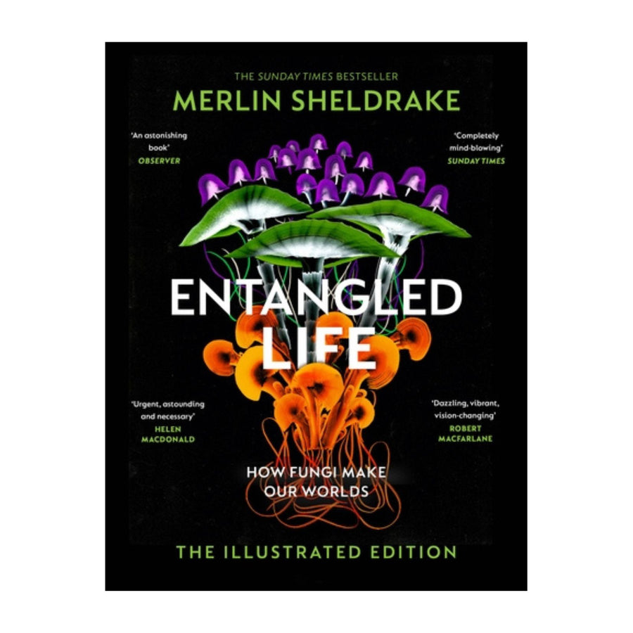Entangled Life - How Fungi Make Our Worlds - Illustrated