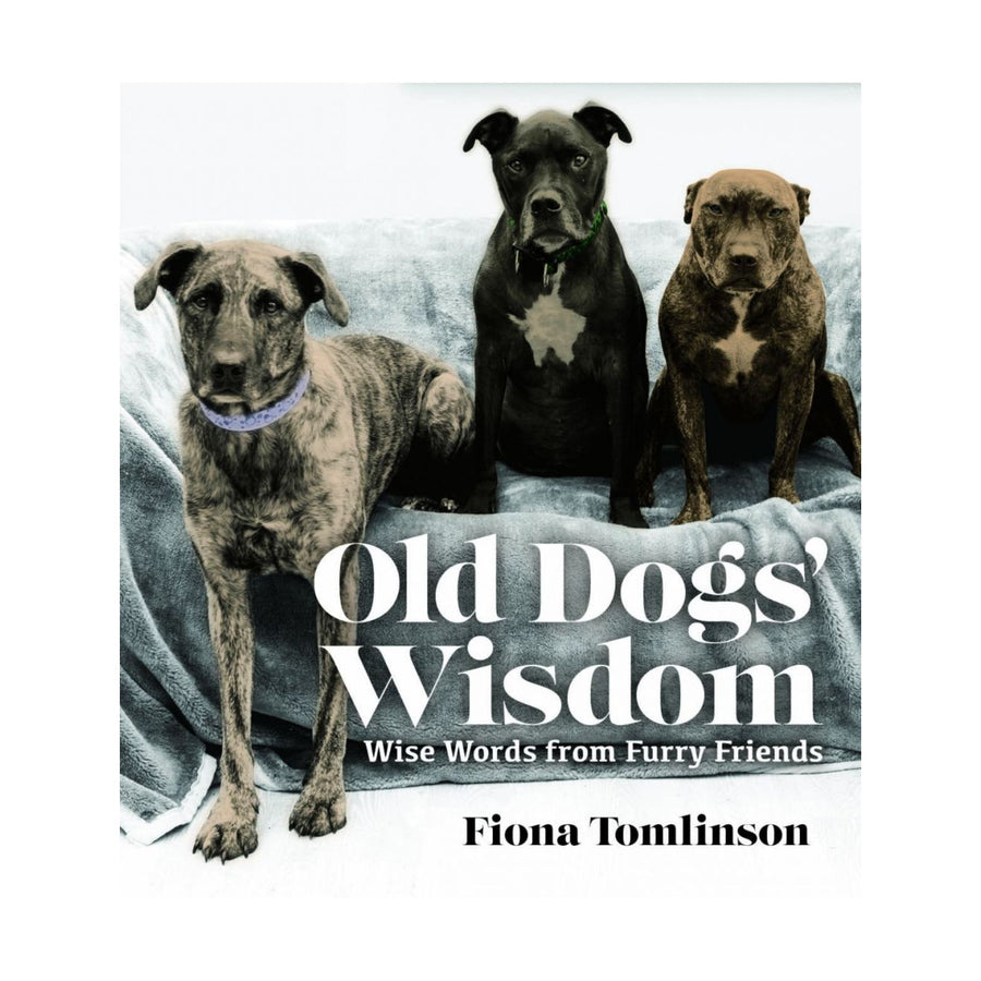 Old Dog's Wisdom