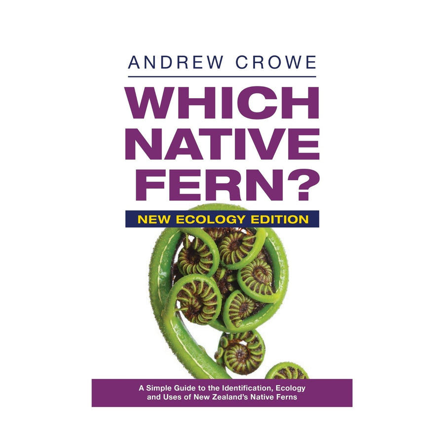 Which Native Fern