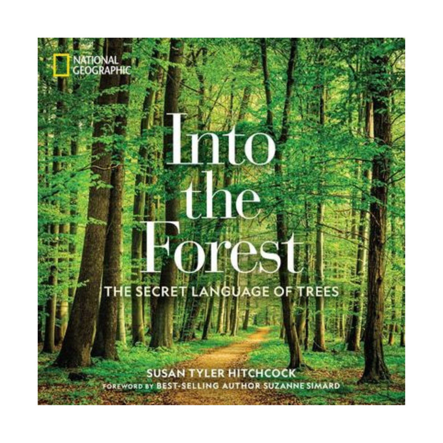 Into the Forest