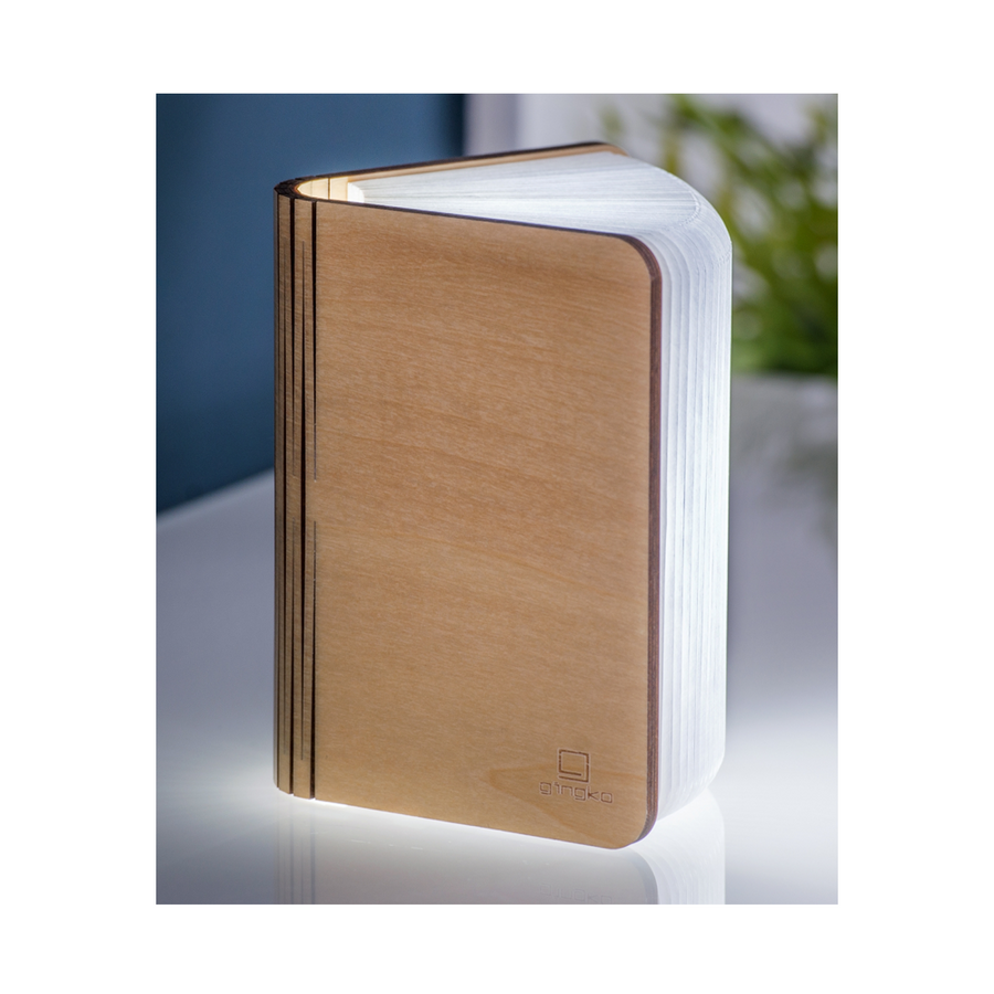 MAPLE MINI SMART LED BOOK LIGHT