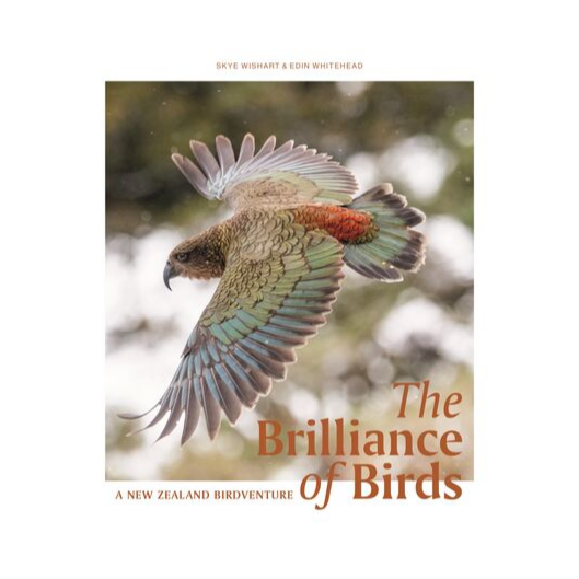 The Brilliance of Birds