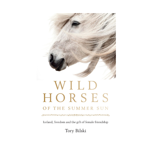 Wild Horses of the Summer Sun