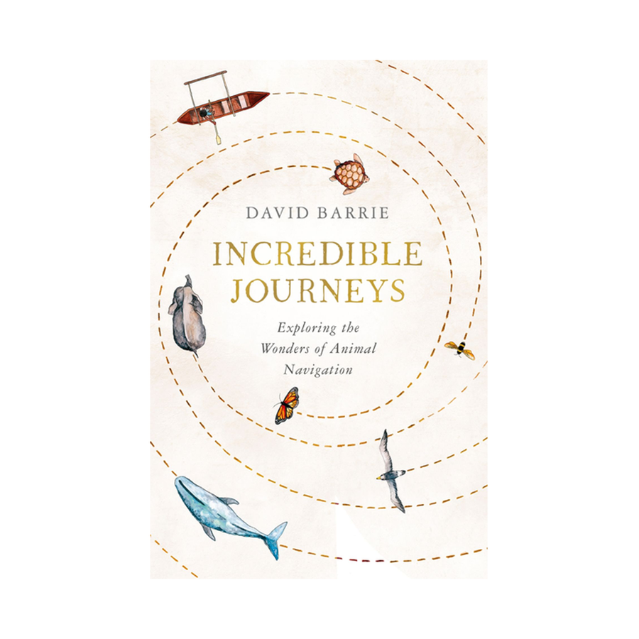Incredible Journeys