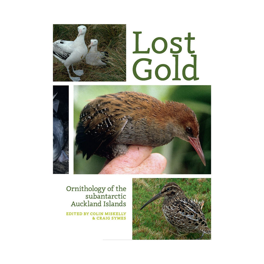 Lost Gold