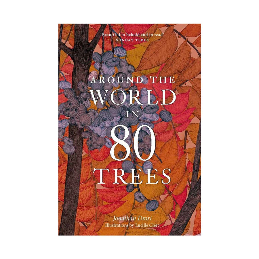 Around the World in 80 Trees (Paperback)